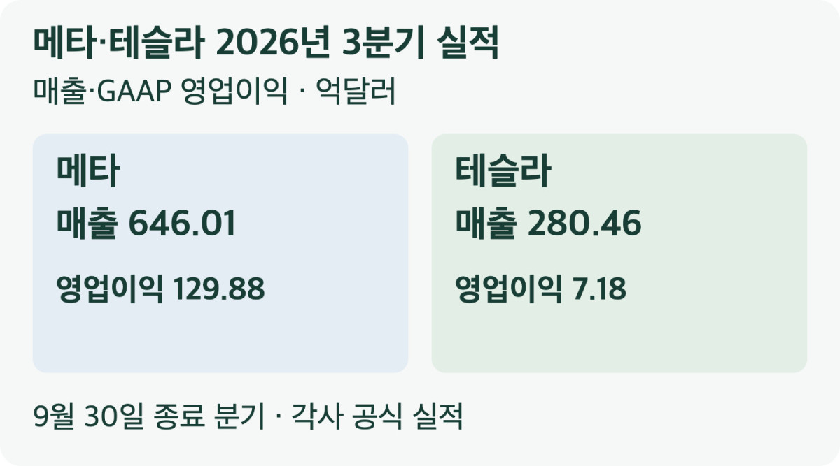 메타 매출646.01 영업이익129.88, 테슬라 매출280.46 영업이익7.18억달러