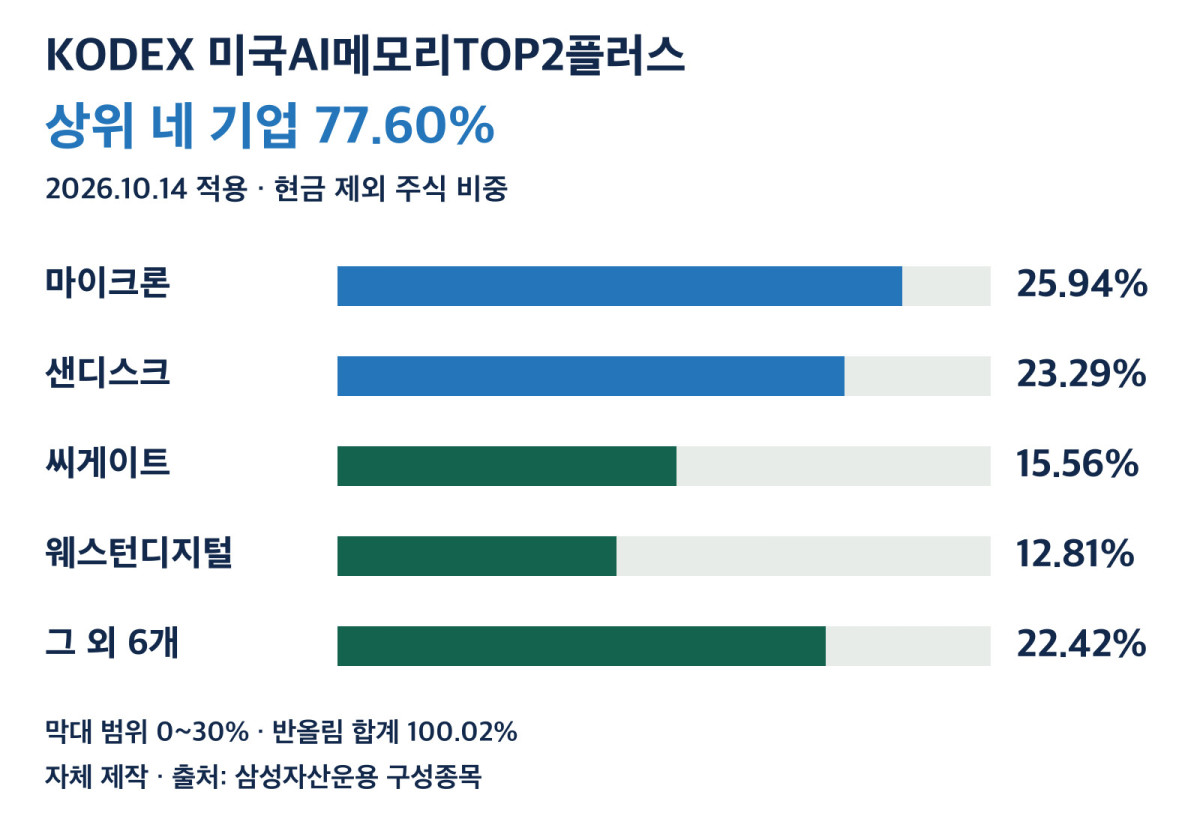 KODEX 미국AI메모리TOP2플러스 주식 포트폴리오 집중도